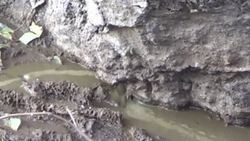 Dereye salınan hayvan atıkları mikrop saçıyor