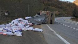 Giresun'da tır devrildi: 1 yaralı
