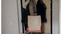 Sakarya'da kız öğrenci yurdunda kedi kız paniği