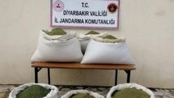Diyarbakır'da 364 kilo esrar bulundu