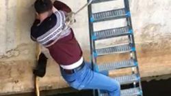 Denizli'de, yavru kediyi suya düşmekten kurtardı