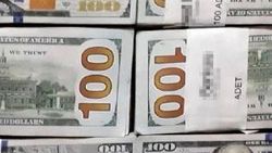 Çöpe atılan 70 bin dolarını, izini takip ederek buldu