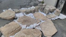 Roma ve Bizans dönemine ait onlarca tarihi eser bulundu