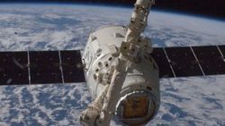 SpaceX uzaya kenevir gönderecek