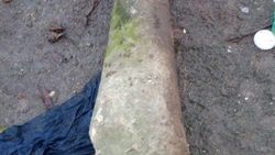 Zonguldak'ta Roma dönemine ait sütunlar ele geçirildi