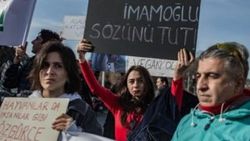 Faytonların kaldırılması için İBB önünde eylem