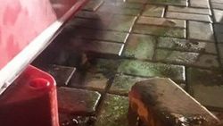 Şanlıurfa’da gizemli duman, AFAD'ı alarma geçirdi