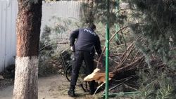 Lodosta devrilen ağacın altında kaldı