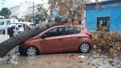 Fırtınanın devirdiği ağaç otomobili hurdaya çevirdi
