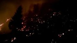 Rize ve Trabzon'da orman yangınları sürüyor