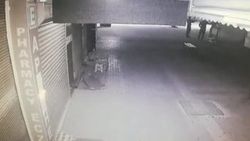 Antalya'da hırsıza suçüstü