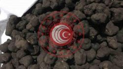 Trüf mantarını yine alan olmadı