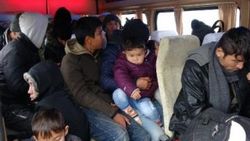 Çanakkale'de 108 kaçak göçmen yakalandı