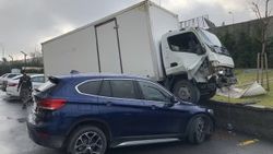 Avcılar'da kamyon sitenin bahçesine uçtu