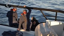 Aydın'da 41 kaçak göçmen yakalandı