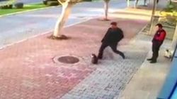 Marketin önündeki kedilere tekme attı