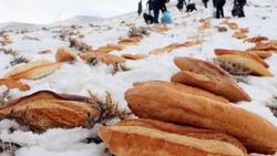 Felaketlerin son bulması için türbe yoluna ekmek götürdü