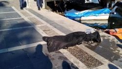 Marmaris'te, derede erkek cesedi bulundu