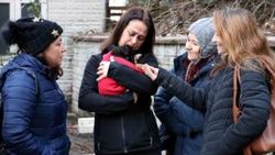 Zonguldak'ta 8 yavru köpek zehirlendi