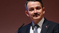 Bakan Pakdemirli'den yerli tohum açıklaması