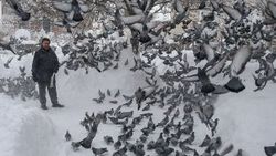 30 yıldır binlerce kuşa evladı gibi bakıyor