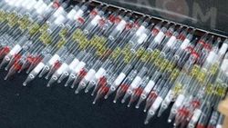 Emlak ofisinden 3.5 milyon liralık kobra zehri çıktı