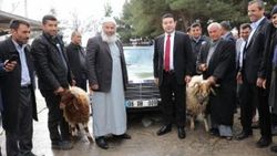 Bahçeli’nin hediye ettiği otomobil için kurban kestiler