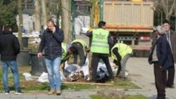 Gezi Parkı'na 150 yeni ağaç dikiliyor