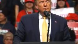 Trump'tan Brad Pitt ve Parazit filmine tepki