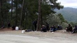 Muğla'da 32 kaçak göçmen yakalandı