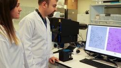 Türk bilim insanları taşınabilir mikroskop geliştirdi