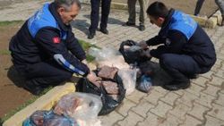 Mersin’de 91 kilo kaçak bozuk et ele geçirildi