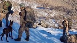 Siirt'te tespit edilen el yapımı patlayıcılar imha edildi