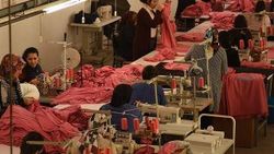 Dünya genelinde 25 milyon kişi işini kaybedebilir