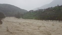 Şırnak'ta sağanak yağış sonrası çay taştı