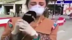Lübnan'da haber sunan bir muhabir canlı yayında bayıldı