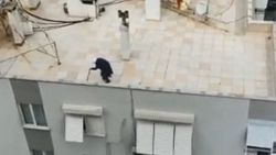 65 yaş üstü yaşlı teyze dışarı çıkamayınca çatıda gezdi