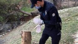 Sinop'ta polis, yaşlı kardeşler için odun kırdı
