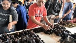 Çin'de vahşi hayvan pazarları yeniden kuruldu