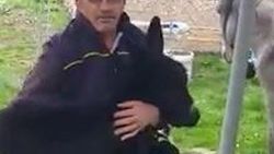 Sıpasıyla salıncağa bindi