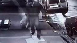 Köpeğini, yeni doğum yapan kedi ve yavrularına saldırttı