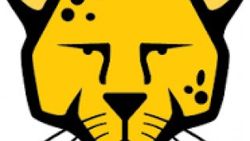 Pardus nedir
