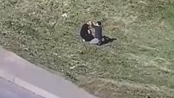 Sultangazi'de yasak olmasına rağmen boş alanda tıraş yaptı