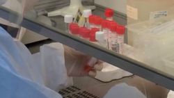 Akdeniz Üniversitesi'nde korona testlerinin yapıldığı oda