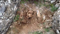 Siirt'te, tuzaklanan el yapımı patlayıcı imha edildi