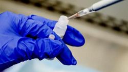 Almanya, korona aşısını insanlarda test edecek