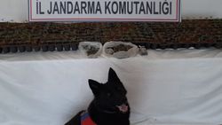 Adana'da uyuşturucu operasyonu: 3 gözaltı