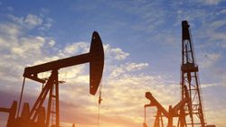 Brent petrolün varili 20,50 dolar