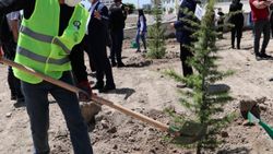 Elazığ'da sağlık çalışanları için 400 fidan dikildi