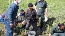 Ölmek üzere olan 3 ton balığı kovalarla taşıdılar
